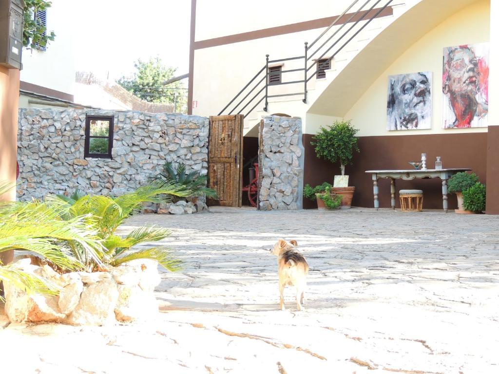Loftotel Canet Esporles Ngoại thất bức ảnh