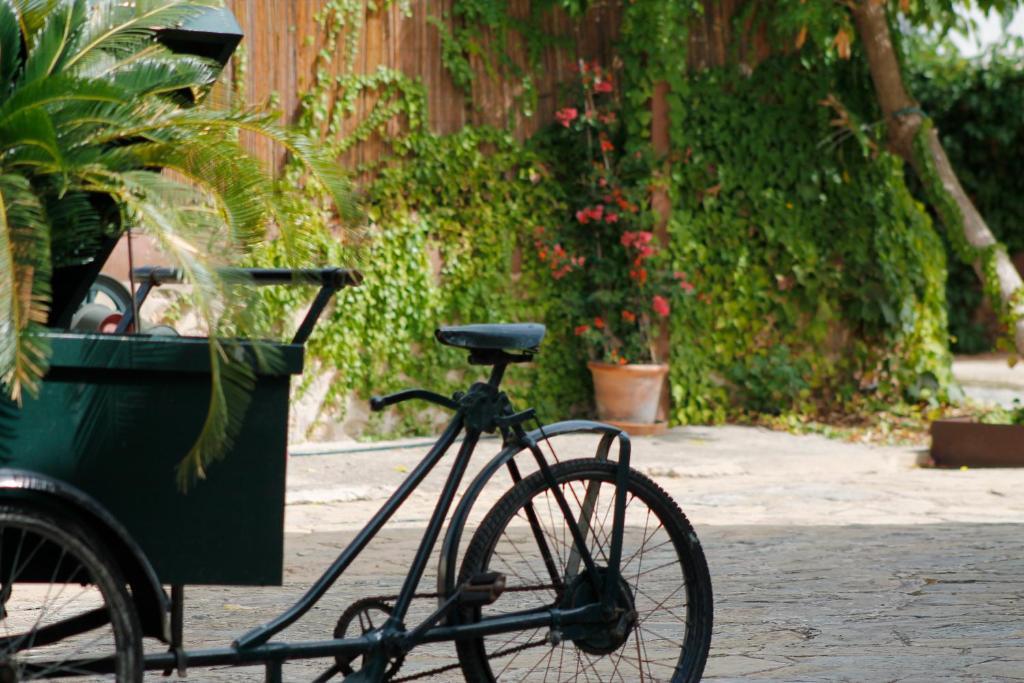 Loftotel Canet Esporles Ngoại thất bức ảnh